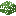 Acacia Leaves