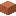 Brote de acacia