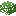 Birch Leaves