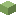 Bloque de coral de burbuja muerto