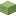 Liquen luminoso