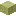 Flor de esporas